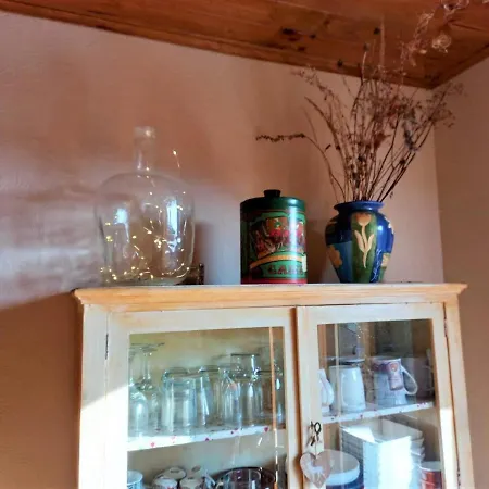 Vii Apartament